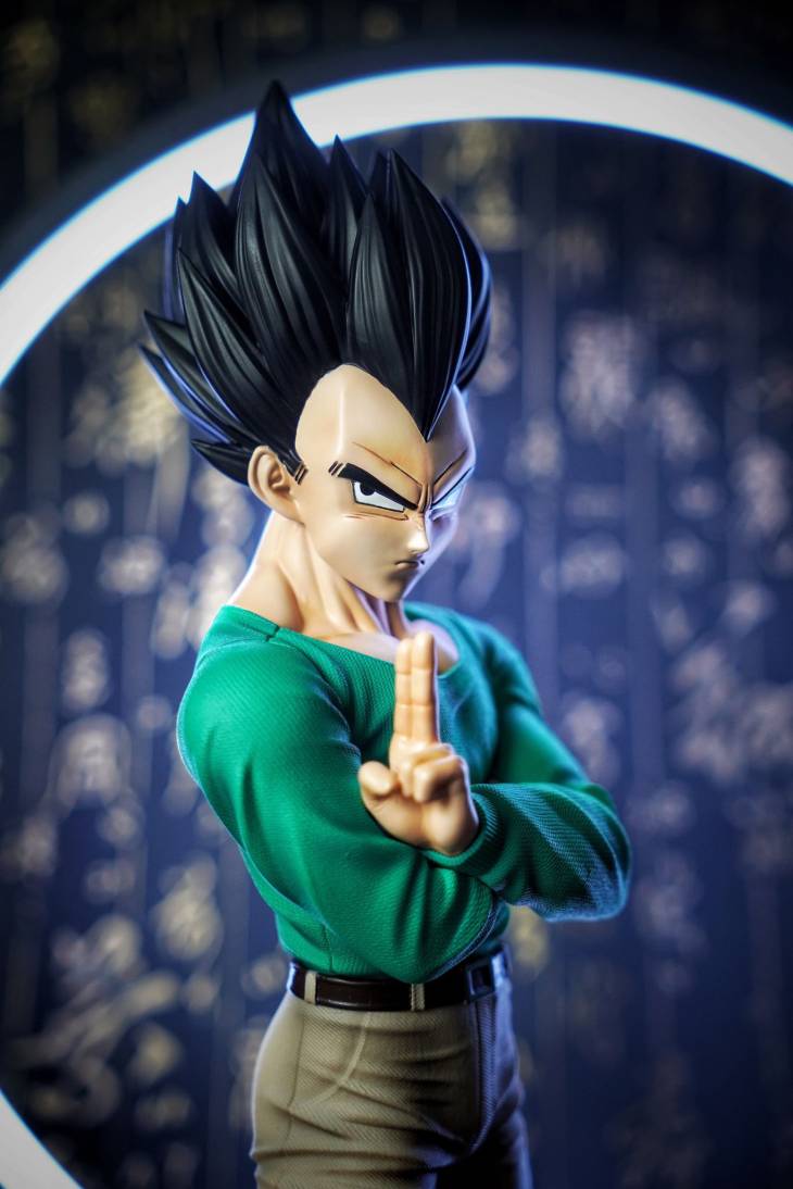 Sky Top - Vegeta - Image 9