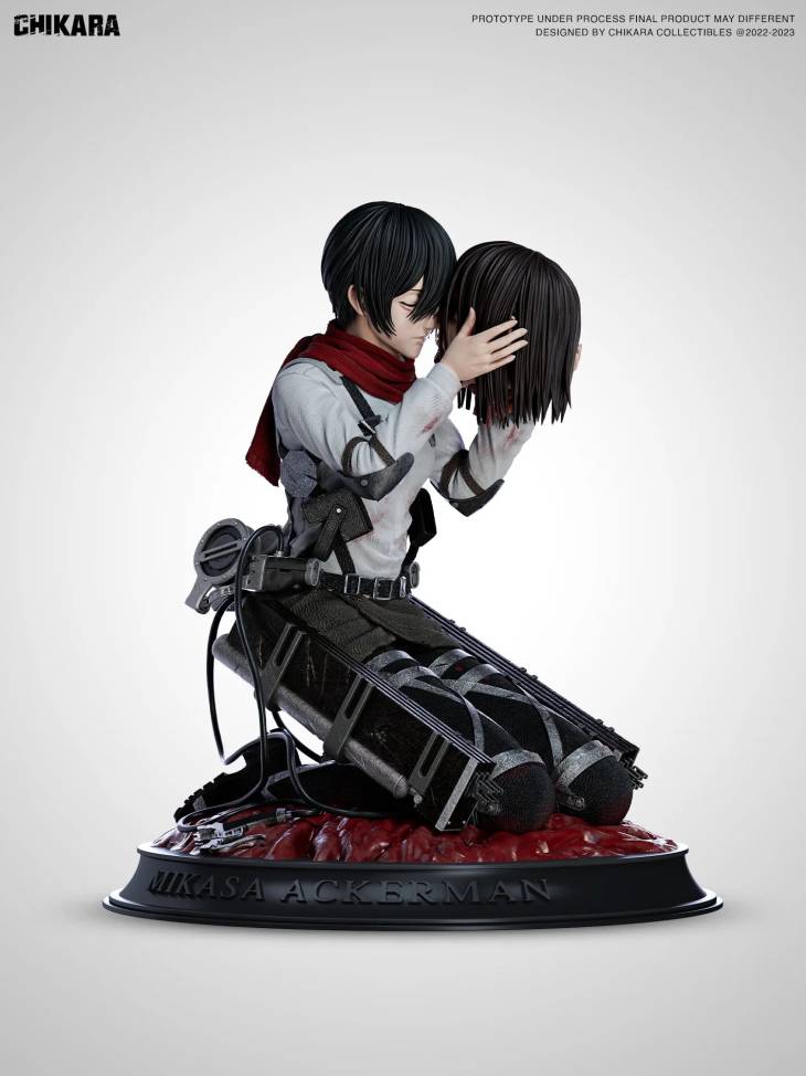 Chikara - Mikasa - Image 3