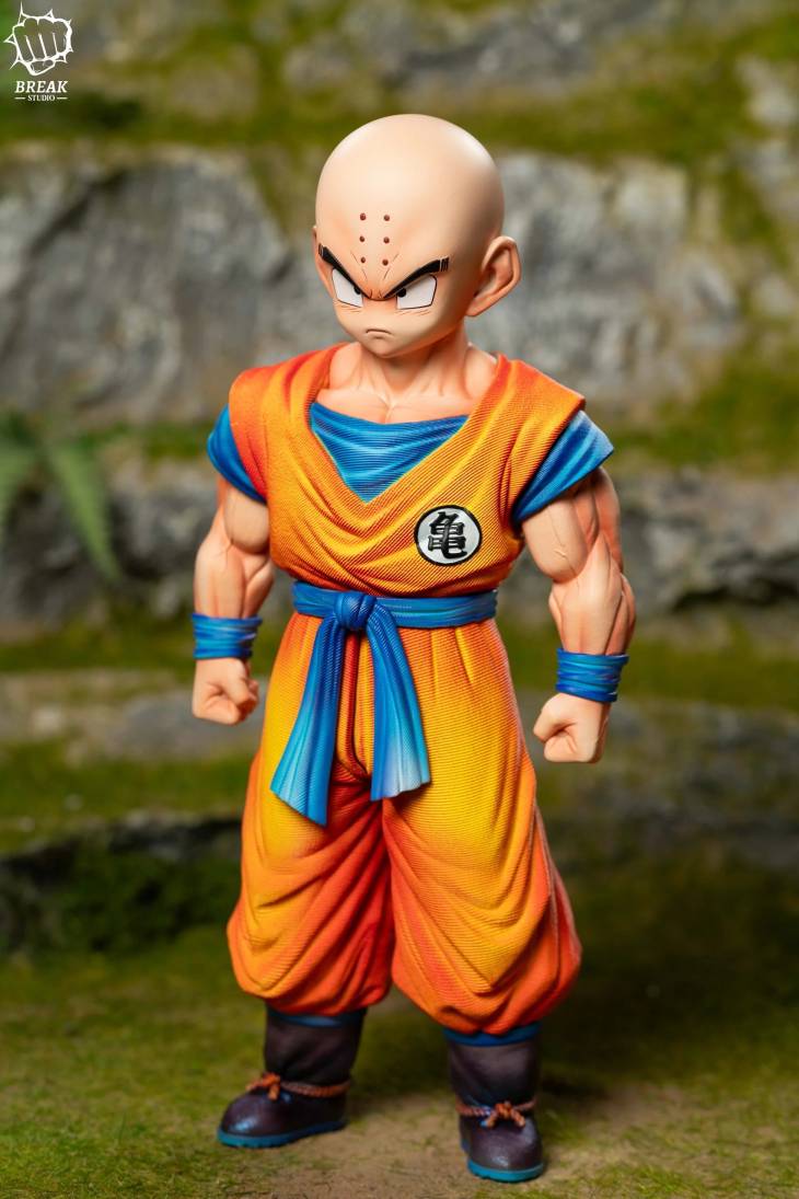 Break - Krillin - Image 5