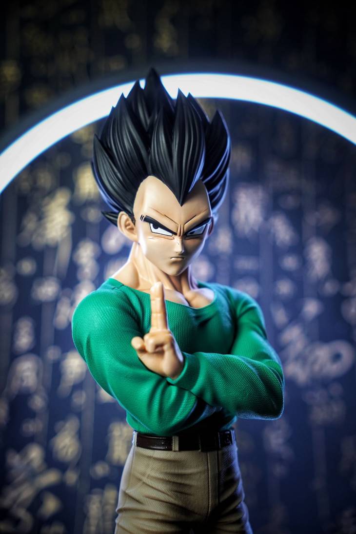 Sky Top - Vegeta - Image 5