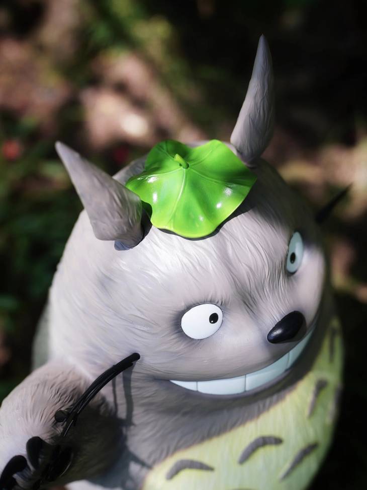 Long Miao - Totoro - Image 5
