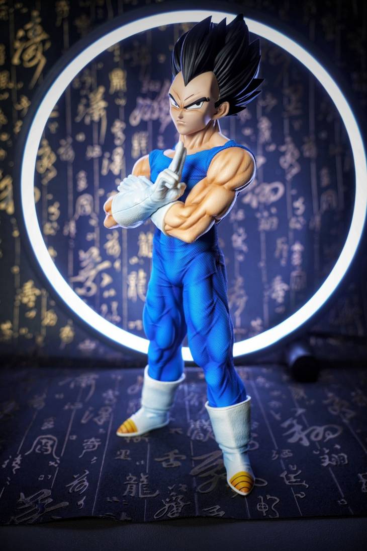 Sky Top - Vegeta - Image 4