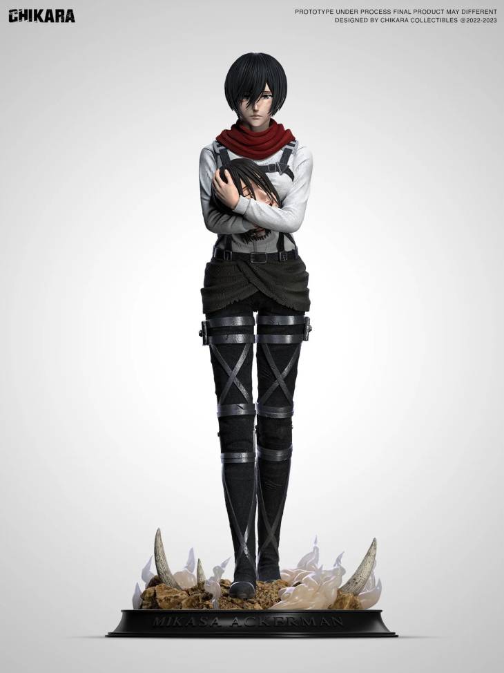 Chikara - Mikasa