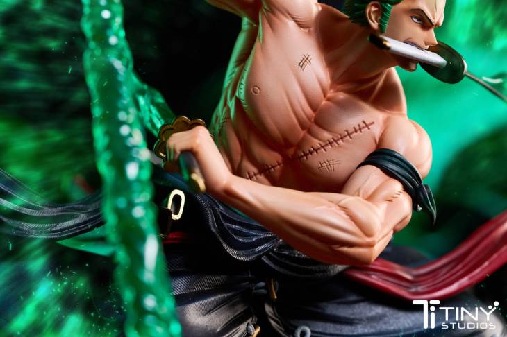 Tiny - Zoro - Image 5