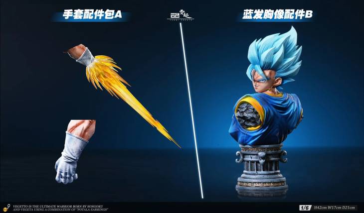 YunQi - Vegito - Image 8