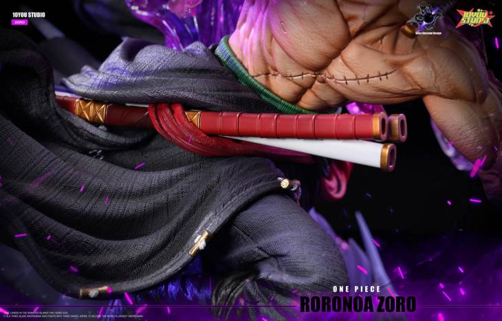 Skies Descend Design x 10 You - Zoro - Image 8
