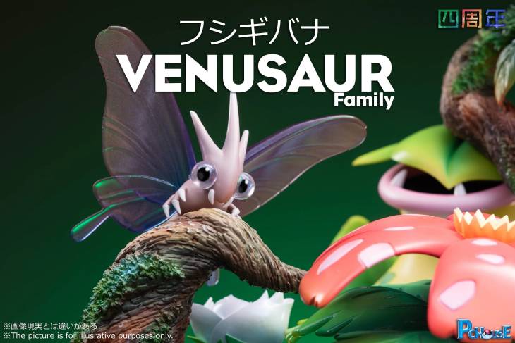 Pc House  - Venusaur - Image 5