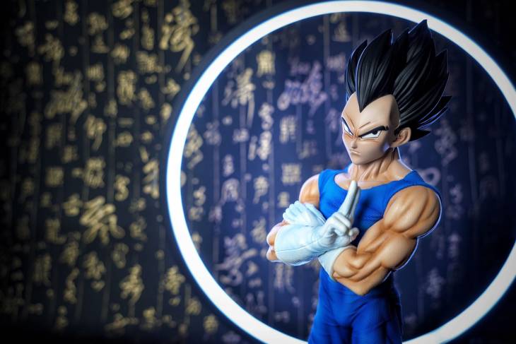 Sky Top - Vegeta - Image 8