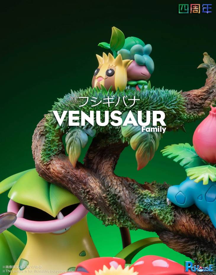 Pc House  - Venusaur - Image 6