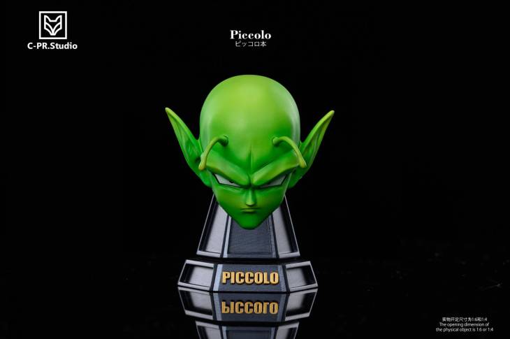 CPR - Piccolo - Image 7
