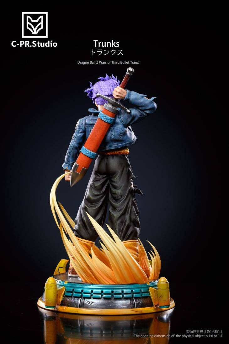 CPR - Trunks - Image 6