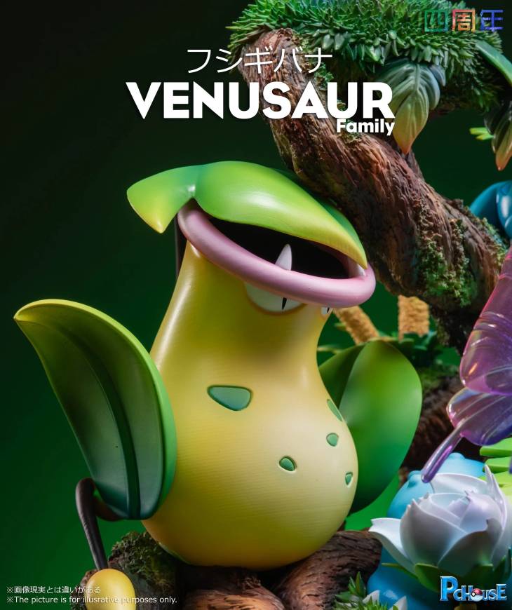 Pc House  - Venusaur - Image 7
