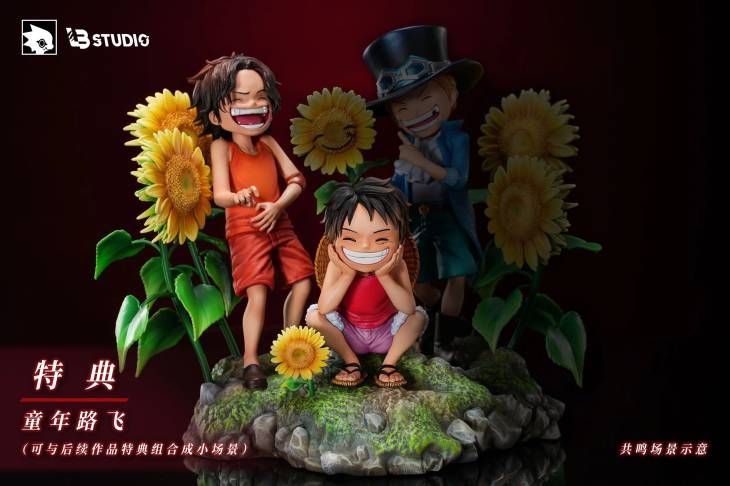 LB - Luffy - Image 9