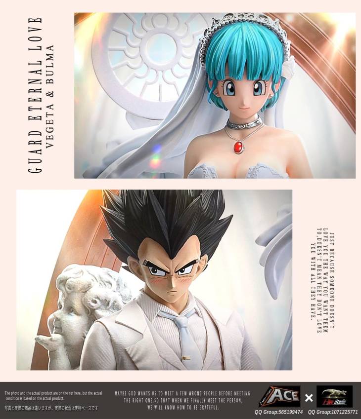 Ace x T-Rex - Wedding Series 02 Vegeta and Bulma StatueCorp