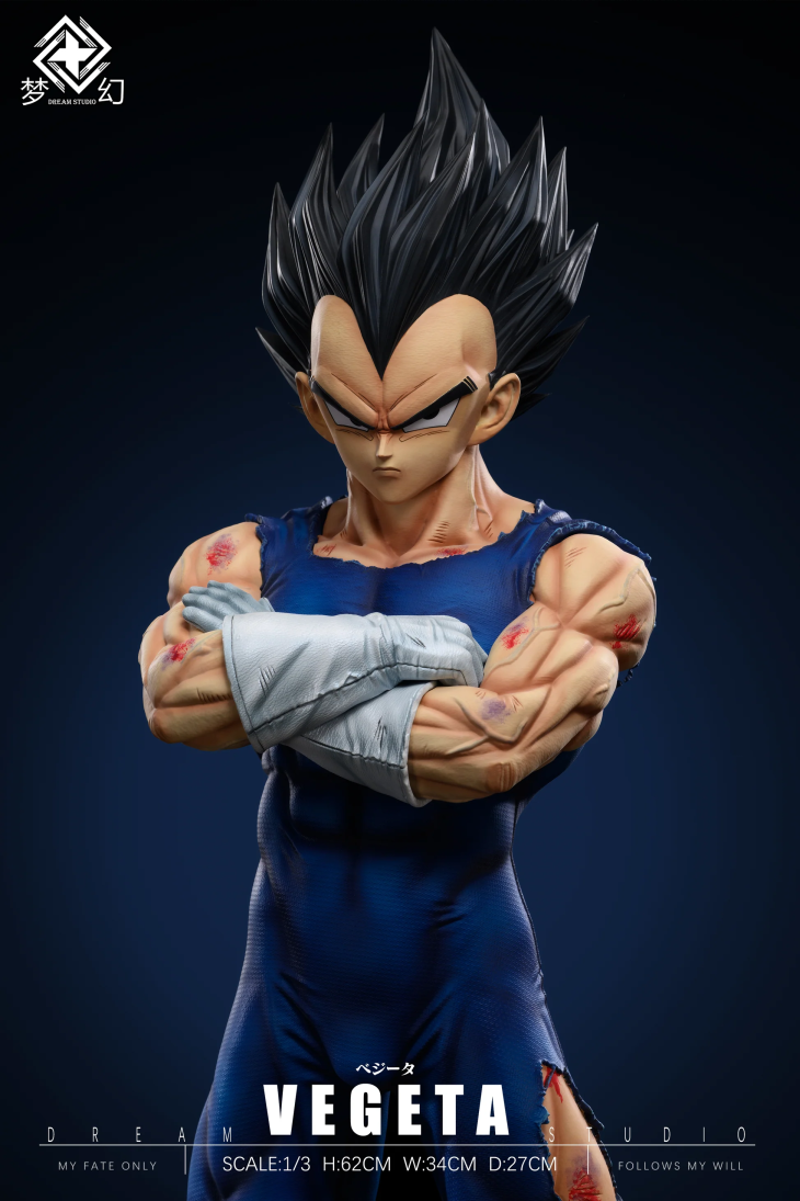 Dream - Vegeta - Image 2