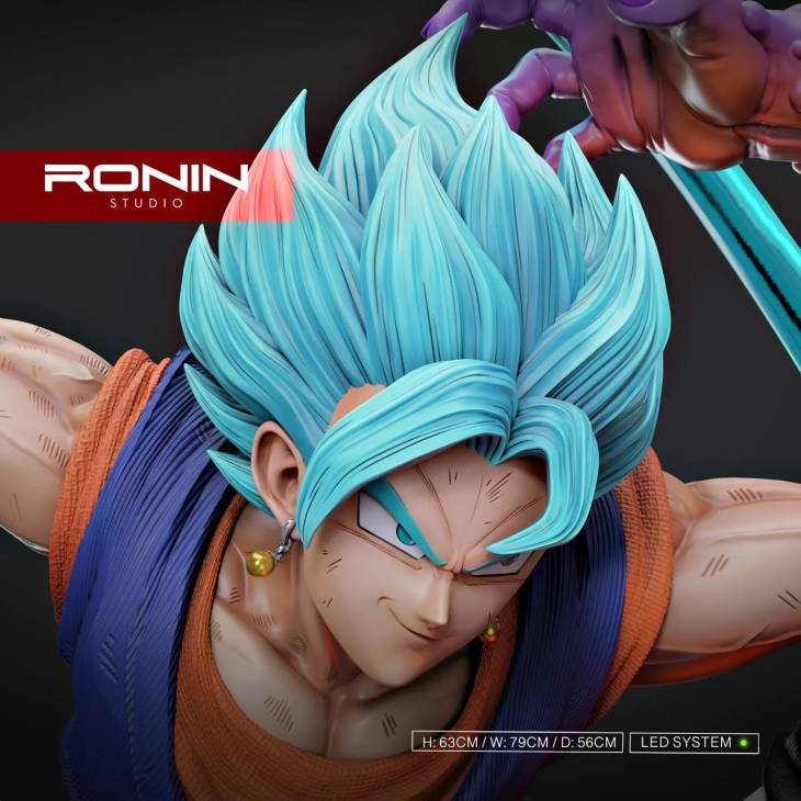 Ronin - Vegito vs Zamasu - Image 15