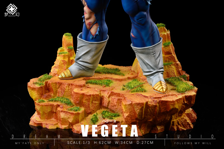 Dream - Vegeta - Image 7