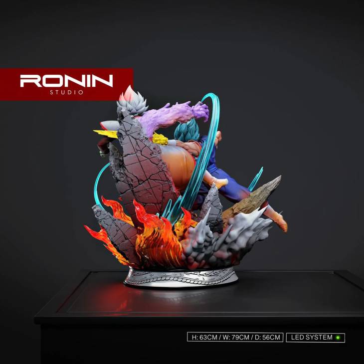 Ronin - Vegito vs Zamasu - Image 14