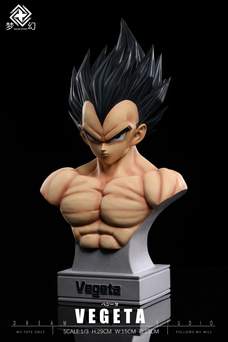 Dream - Vegeta - Image 6