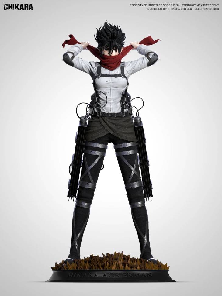 Chikara - Mikasa - Image 2