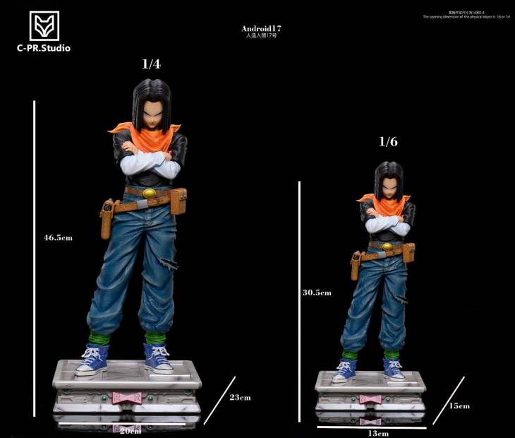 CPR - Android 17 StatueCorp