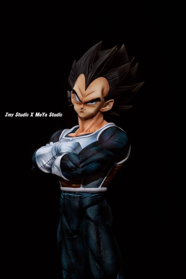 JMY x Maya - Vegeta - Image 7