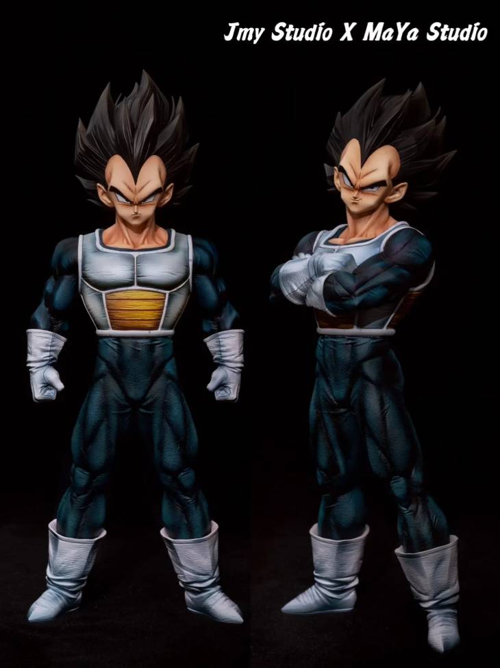 JMY x Maya - Vegeta - Image 6