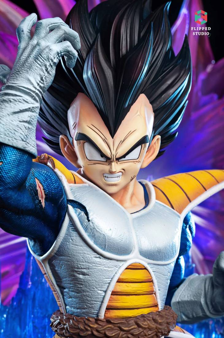 Flipped - Vegeta - Image 4