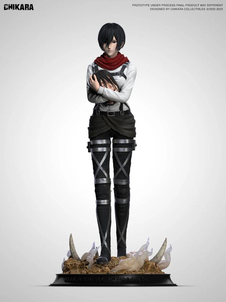 Chikara - Mikasa - Image 10