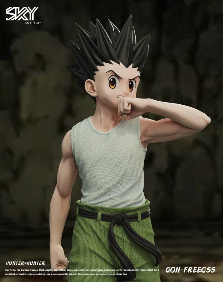 Sky Top - Gon - Image 2
