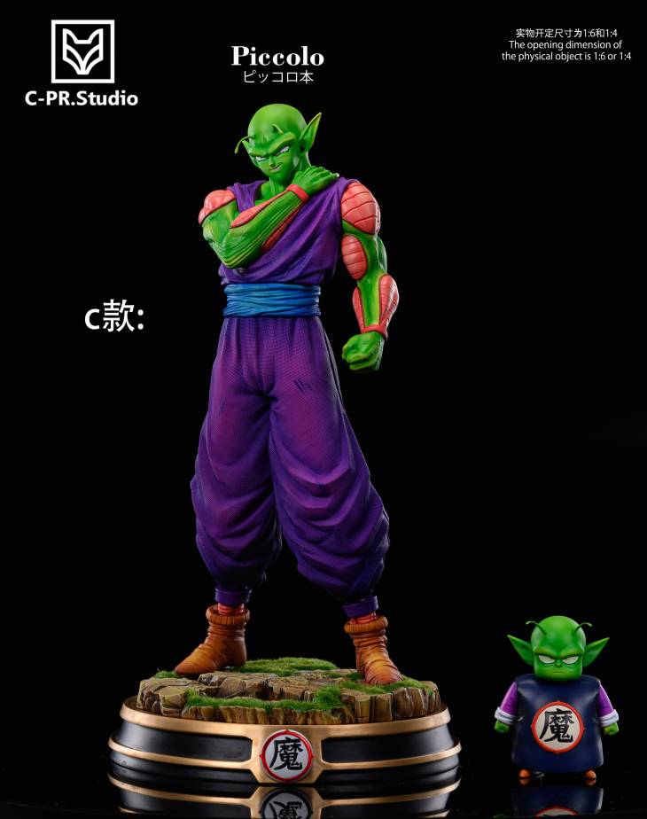 CPR - Piccolo - Image 3