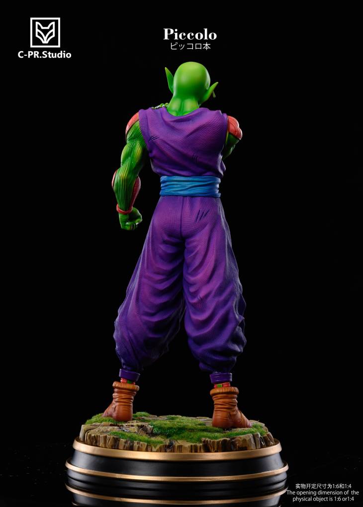 CPR - Piccolo - Image 6