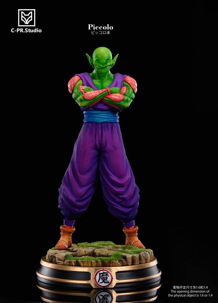 CPR - Piccolo - Image 4