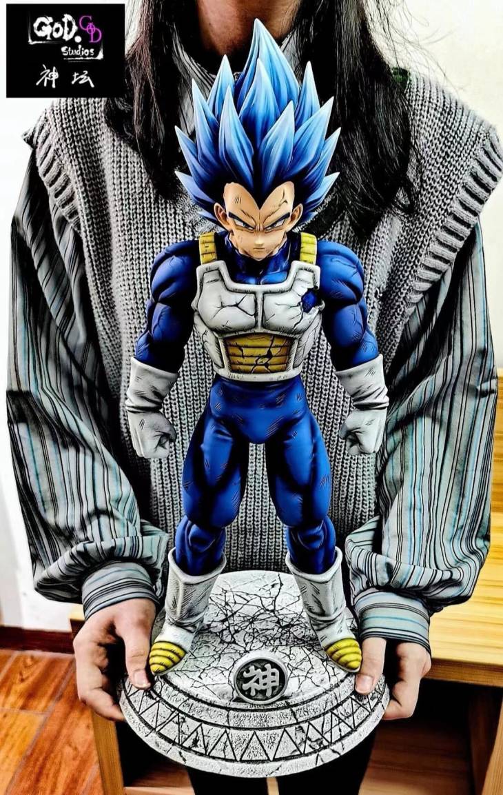 GOD - SSJ Blue Vegeta - Image 8
