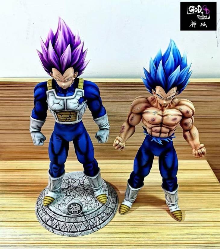 GOD - SSJ Blue Vegeta - Image 9