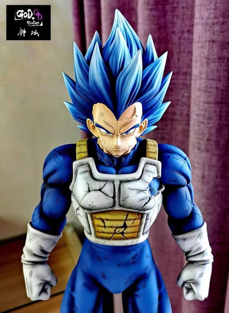GOD - SSJ Blue Vegeta - Image 10
