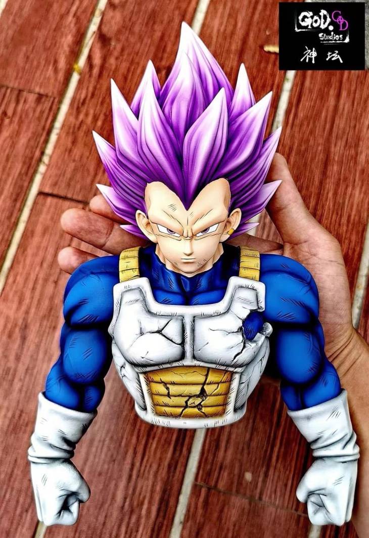 GOD - SSJ Blue Vegeta - Image 13