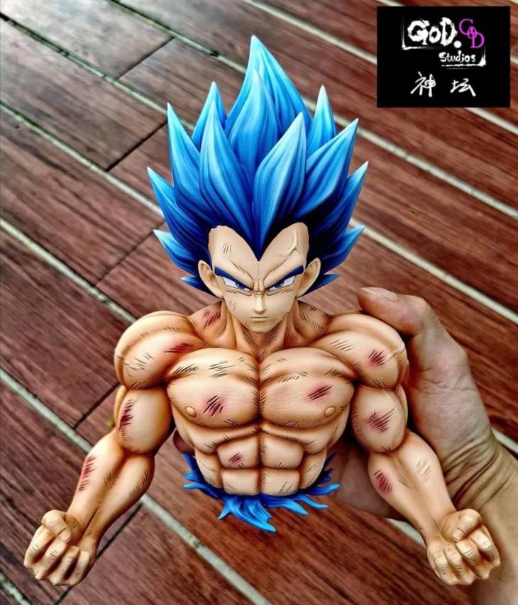 GOD - SSJ Blue Vegeta - Image 12