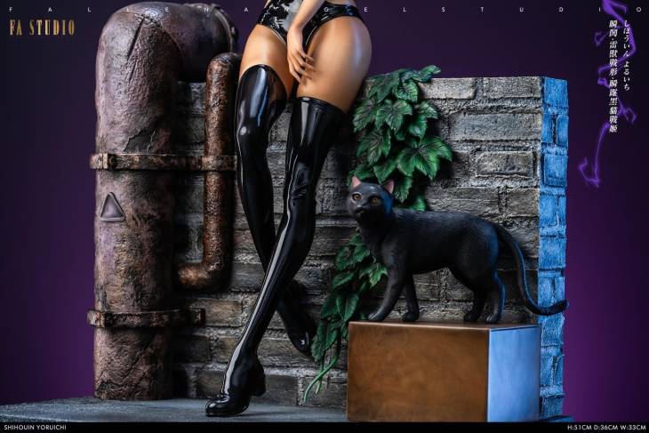 FA - Yoruichi - Image 12