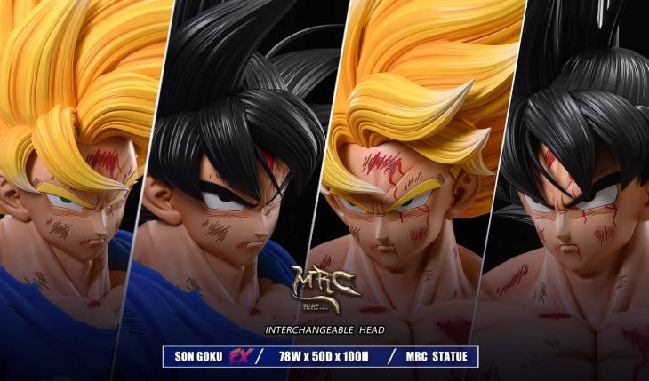 MRC - Goku - Image 7
