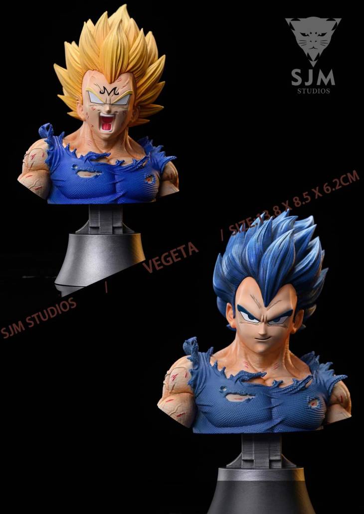 SJM - Vegeta - Image 4