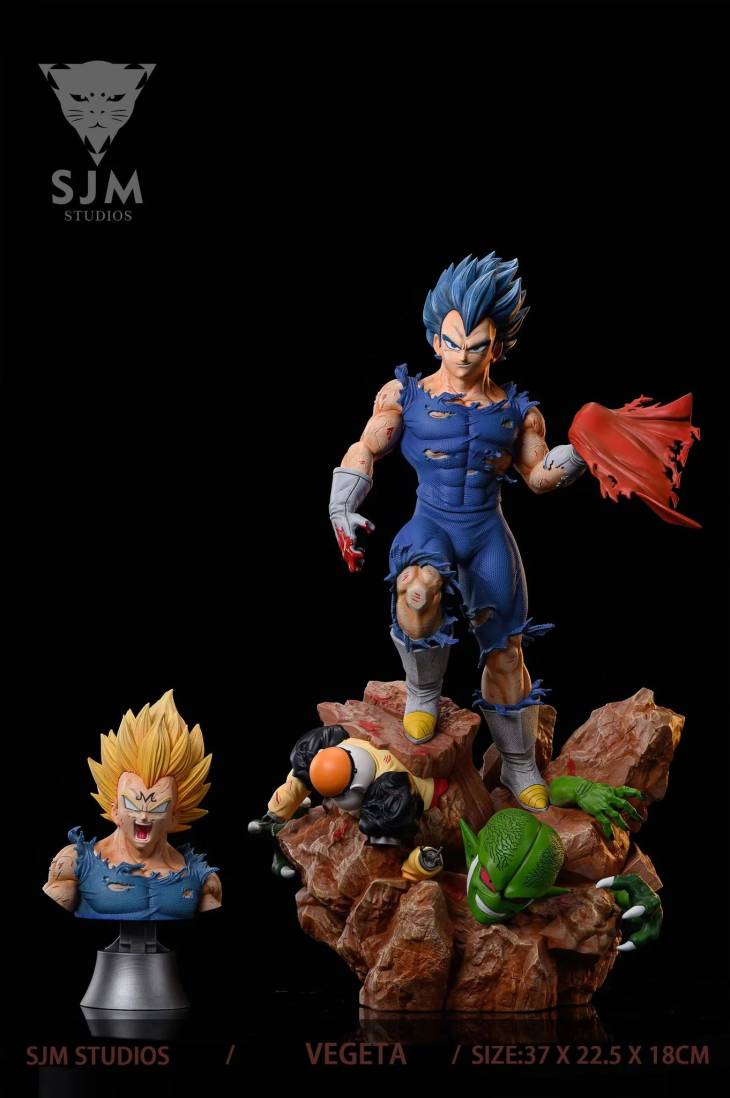 SJM - Vegeta - Image 6