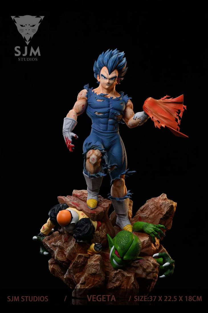 SJM - Vegeta - Image 3