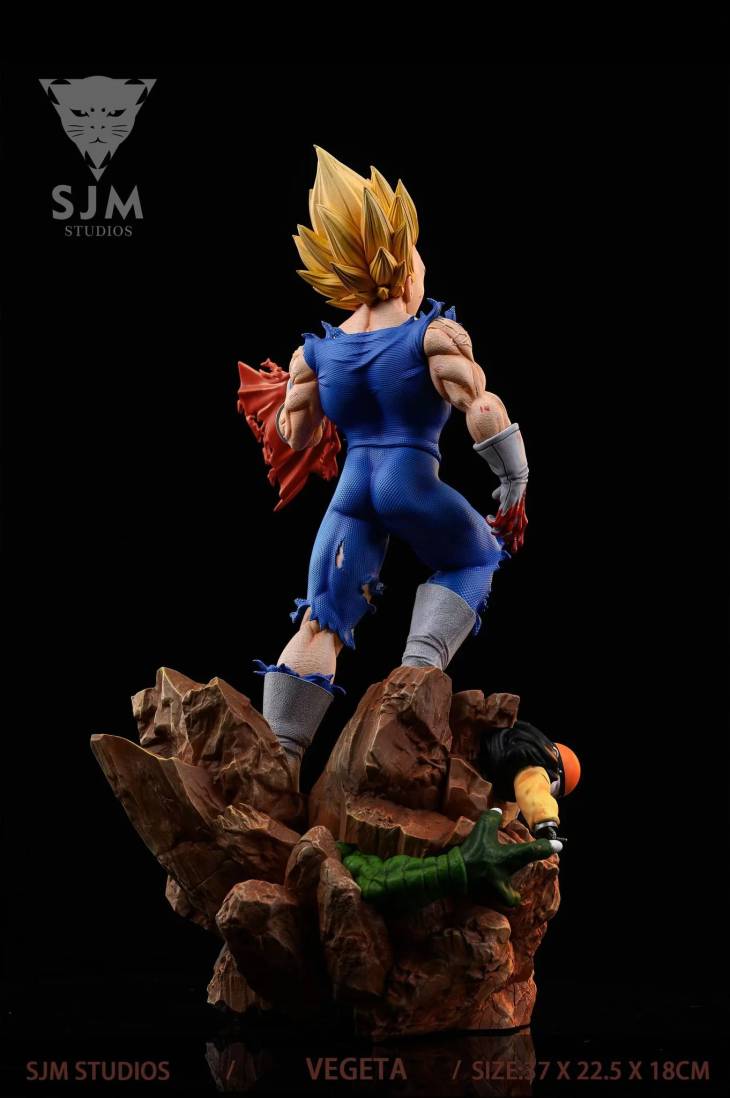 SJM - Vegeta - Image 9