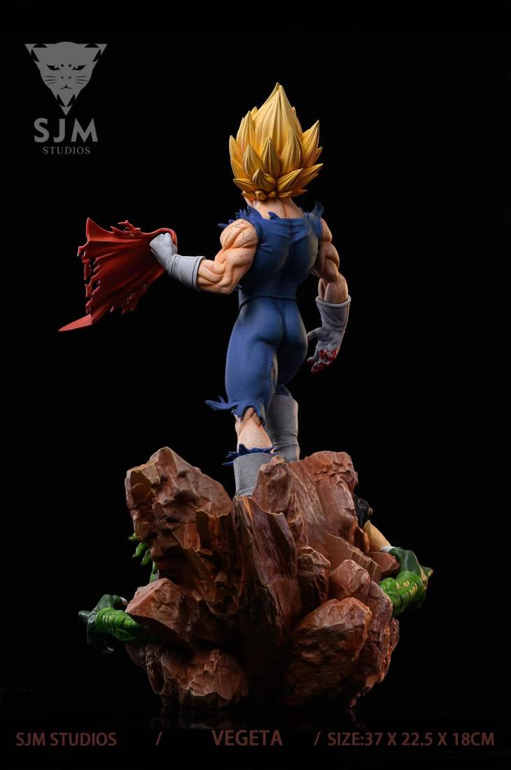 SJM - Vegeta - Image 7