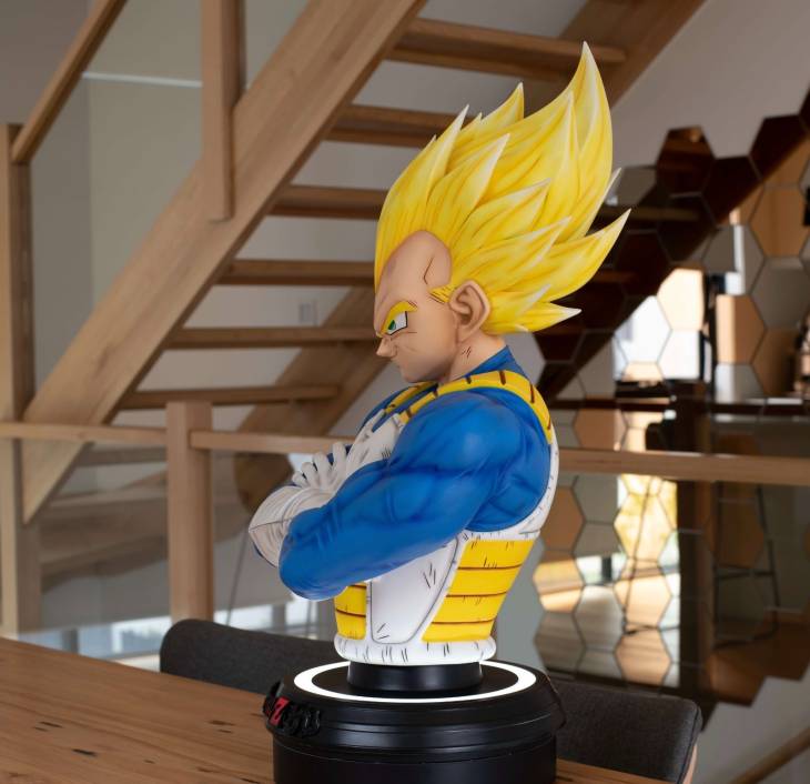 KDC - Vegeta StatueCorp