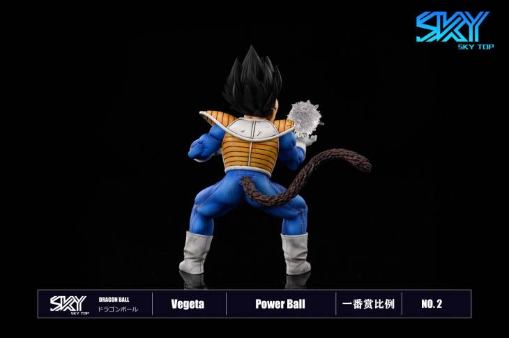 Sky Top - Vegeta StatueCorp