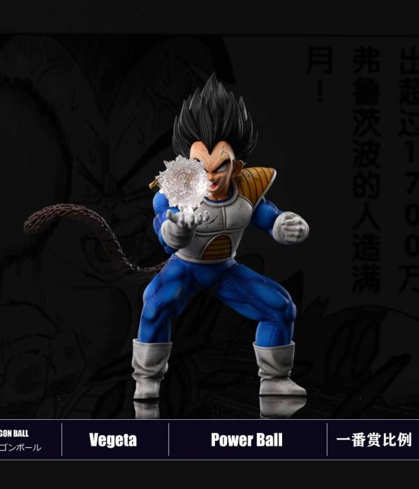 Sky Top - Vegeta StatueCorp