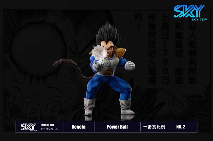 Sky Top - Vegeta StatueCorp