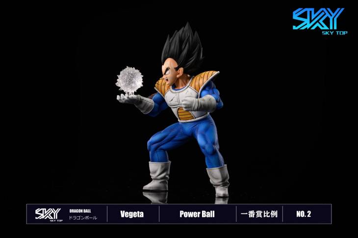 Sky Top - Vegeta StatueCorp